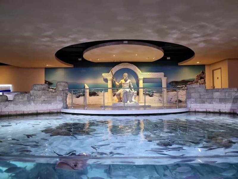 Istanbul: Aquarium Ticket and Round Trip Shuttle from Taksim - Who Will Love This Experience?