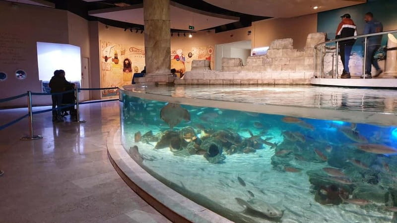 Istanbul: Aquarium Ticket and Round Trip Shuttle from Taksim - Final Thoughts: Is It Worth It?