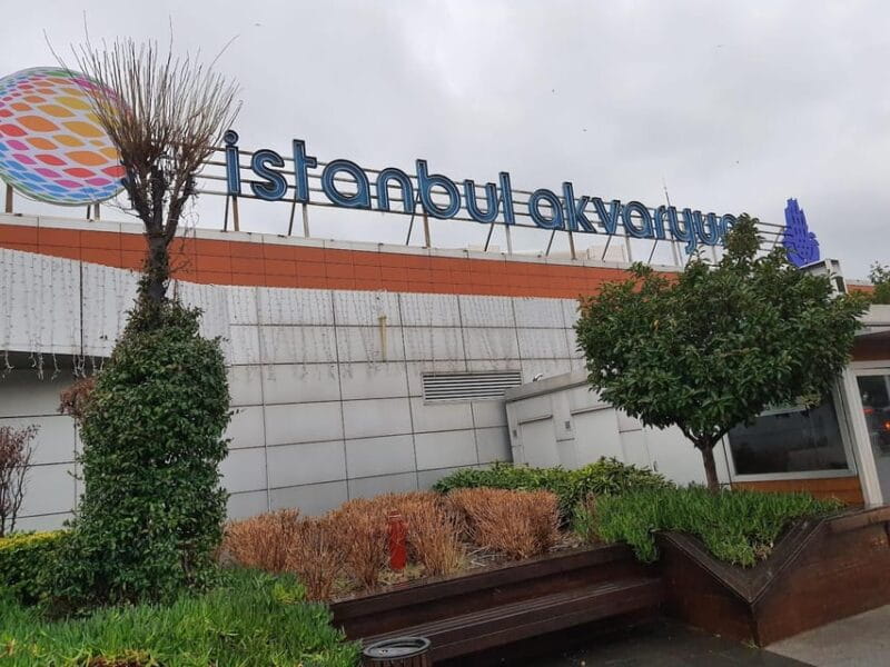 Istanbul: Aquarium Ticket and Round Trip Shuttle from Taksim - Who Should Consider This Experience?