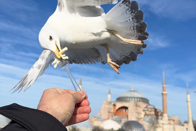 ISTANBUL BEST : Iconic Landmarks Full-Day Private Guided City Tour - Key Points
