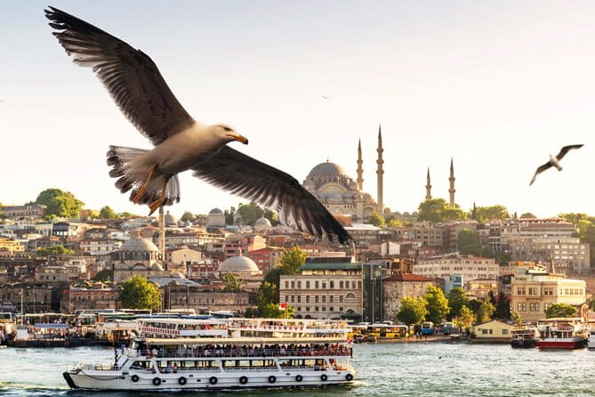 Istanbul Bosphorus Boat Tour and Golden Horn Cruise Day or Sunset - Exploring Istanbul from the Water: A Closer Look at the Bosphorus and Golden Horn Cruise