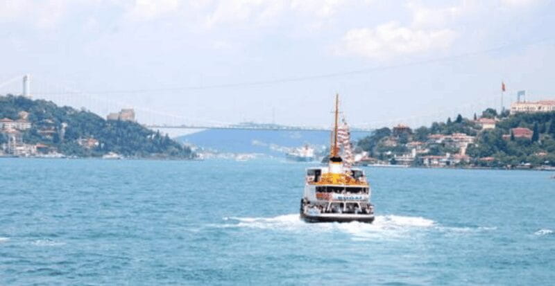 Istanbul: Bosphorus Morning/Sunset Cruise with Optional Stop - The Experience: What You Can Expect