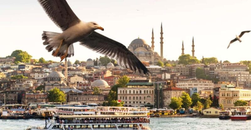 Istanbul: Bosphorus Morning/Sunset Cruise with Optional Stop - Who Will Love This Tour?