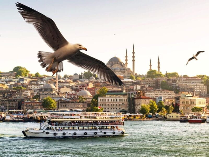 Istanbul: Bosphorus Morning/Sunset Cruise with Optional Stop - Final Thoughts: Is This the Right Tour for You?