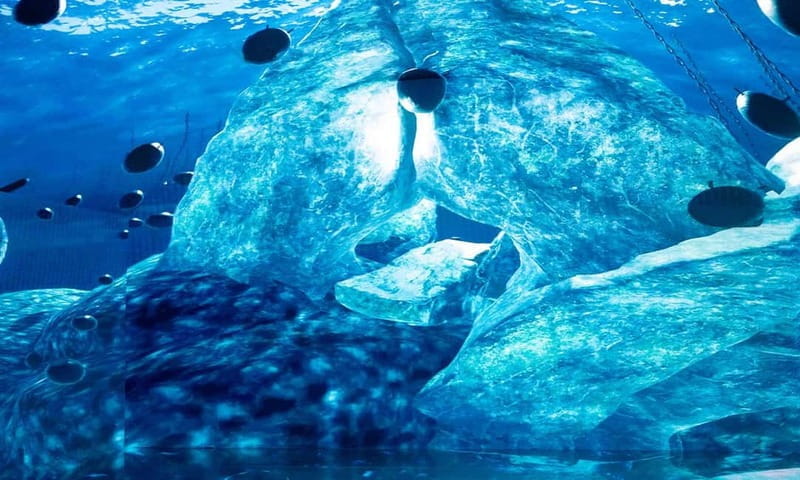 Istanbul: Digital Experience Museum Entry Ticket - Who Will Love This?