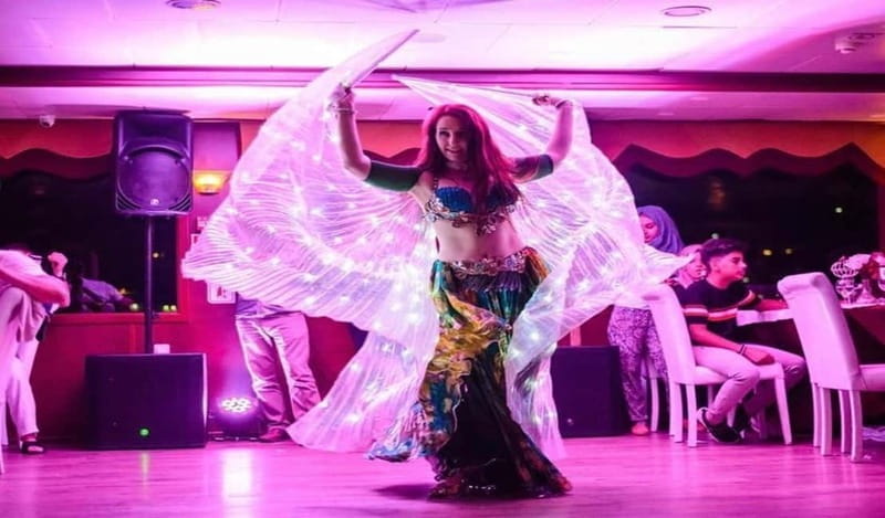 Istanbul: Evening Bosphorus Dinner Cruise with Belly Dance - Price and Logistics: Good Value for a Night Out