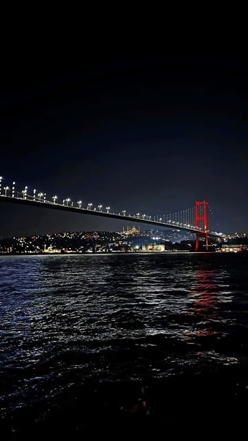 Istanbul: Exclusive Istanbul Night Tour with Private VIP Car - Who Should Consider This Tour?
