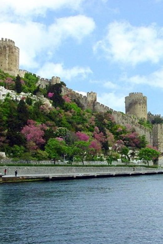 Istanbul Half-Day Tour and Bosphorus Cruise - Exploring Istanbul in a Compact Package