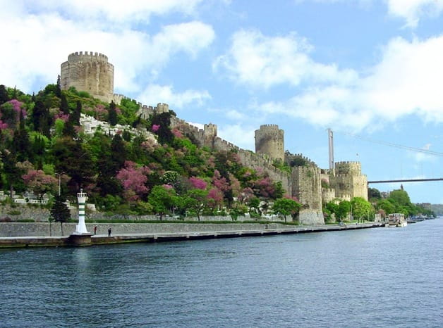 Istanbul Half-Day Tour and Bosphorus Cruise - A Scenic Bosphorus Cruise: Waterway Between Continents