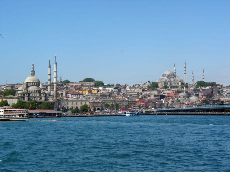 Istanbul Half-Day Tour and Bosphorus Cruise - Price and Logistics: Good Value for a Short Tour