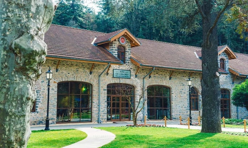 Istanbul: National Palaces Full Pass incl. Dolmabahce Palace - The Sum Up