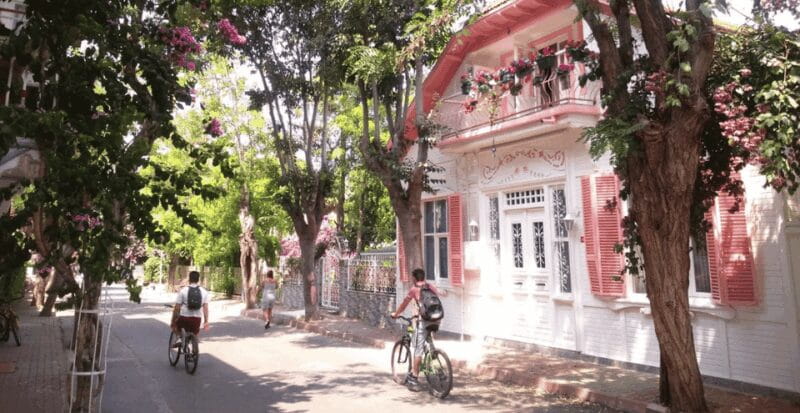 Istanbul: Princes Islands Tour with Heybeliada and Büyükada - Who Will Love This Tour?