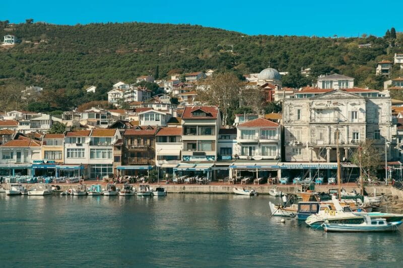 Istanbul: Princes Islands Walking Full-Day Tour - Who Will Love This Tour?