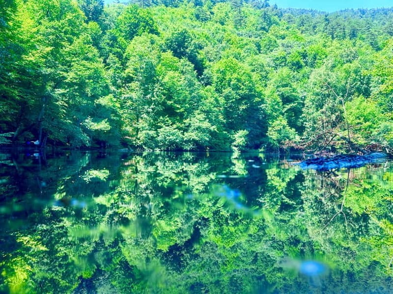 Istanbul: Sapanca, Bolu, Safranbolu and Amasra guided tour - Key Points / Takeaways