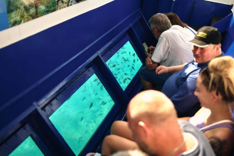 Istria: Aquavision Glassboat panoramic tour of Umag - The Bottom Line: Is It Worth It?