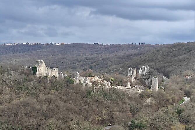 Istria Exclusive: Lim Bay and Dvigrad Ruins Photo Tour - FAQ