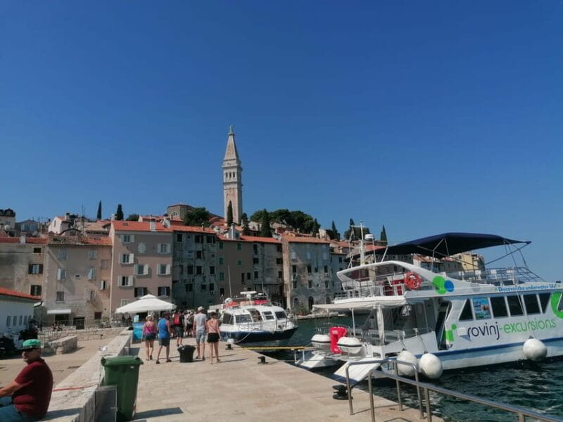 Istria in One Day: Private Tour with Wine & Oil Tasting - Logistics, Price, and Overall Value