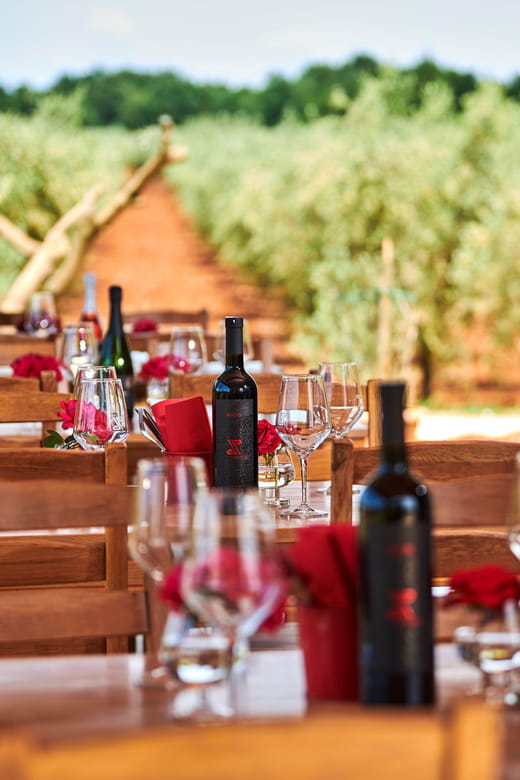 Istria: Pervino wine tasting - Introducing the Pervino Wine Tasting Experience in Istria