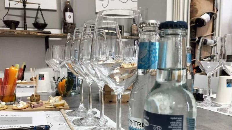 Italian Gin tasting - Key Points / Takeaways