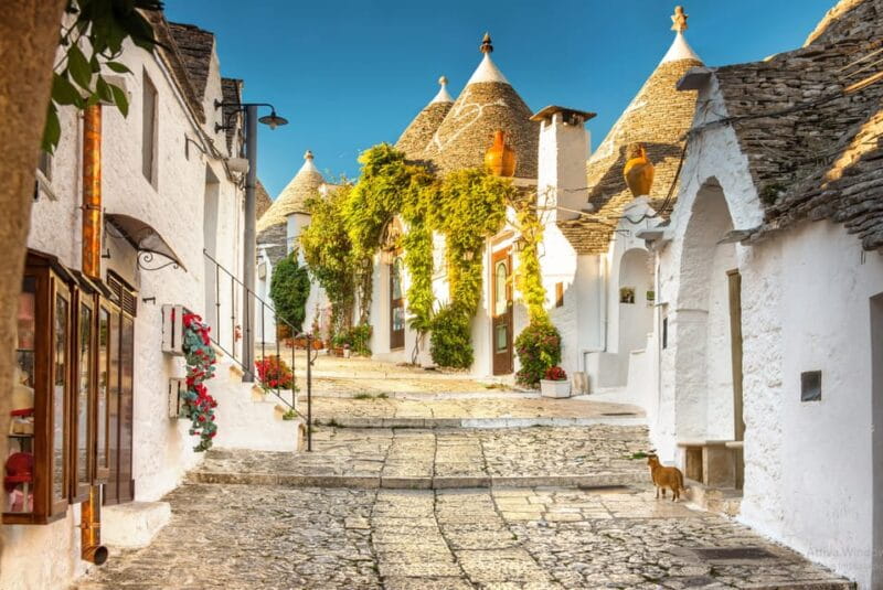 Itria Valley Tour, Alberobello, Ostuni, Cisternino, Locorotondo - Cisternino: A Hidden Gem of White-Washed Streets