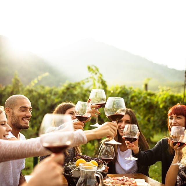 Itria valley: Wine and Olive Oil Tour and Tasting - Who Is This Tour Best For?