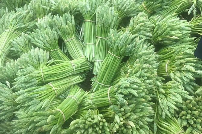 It's Apéro Time Chez Kim - Entering the Heart of Bordeaux’s Social Scene