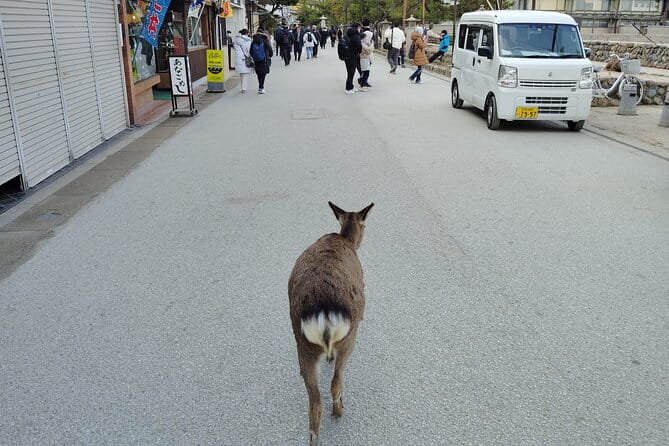 Itsukushima Shrine and Miyajima Summit 5hour Tour in Miyajima - Tips for a Memorable Visit