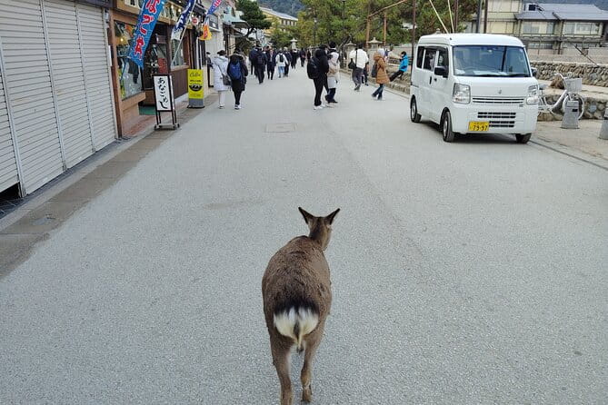 Itsukushima Shrine Tour With Local Guide - Exploring Itsukushima Shrine