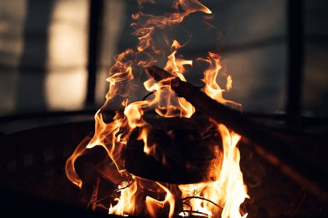 Ivalo: Aurora Hunting with Reindeer - Ivalo: Aurora Hunting with Reindeer – A Genuine Arctic Experience