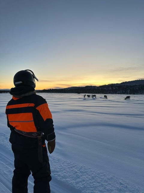 Ivalo: Ice Fishing Tour to Lake Inari, Reindeers & Lunch - Who Will Love This Tour?