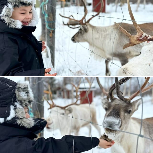Ivalo: Ice Fishing Tour to Lake Inari, Reindeers & Lunch - Final Thoughts: Is This Tour Worth It?