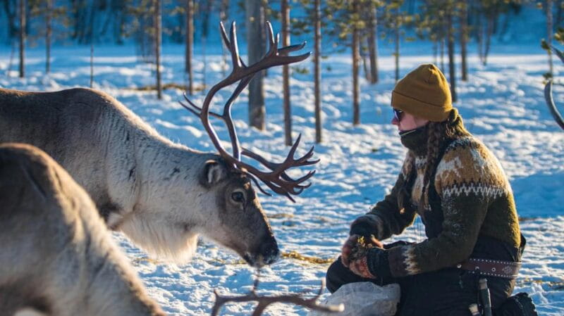 Ivalo: Northern Lights and Reindeer Farm Experience - Frequently Asked Questions