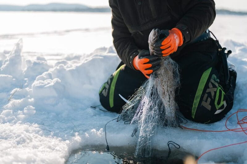 Ivalo: Reindeer Herders and Winter Fishing with Lunch - Key Points & Takeaways