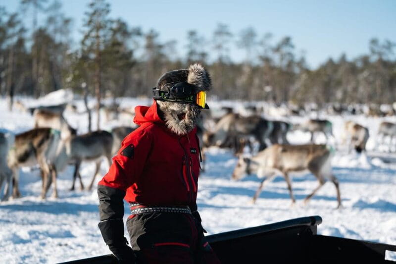 Ivalo: Reindeer Herders and Winter Fishing with Lunch - Entering the Heart of Arctic Culture