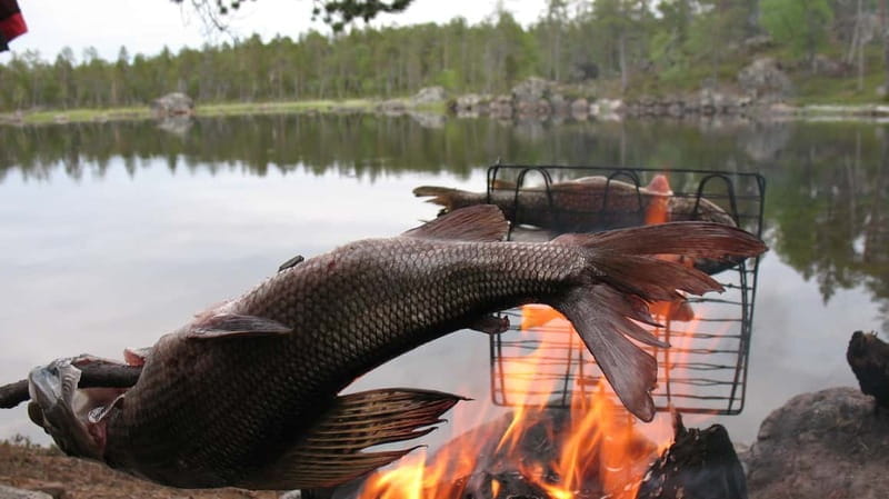 Ivalo: Summer Evening on a Lake in the Wild - Ivalo: Summer Evening on a Lake in the Wild — A Quiet Escape into Nature