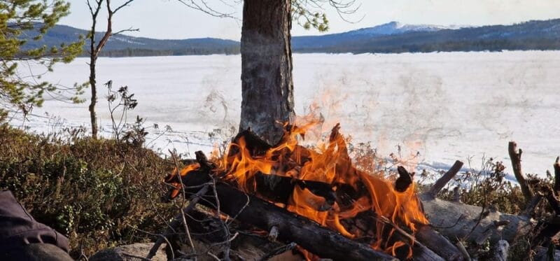 Ivalo:Sleighride Tour and Fishing on a Lake in the Wild - Who Will Love This Tour