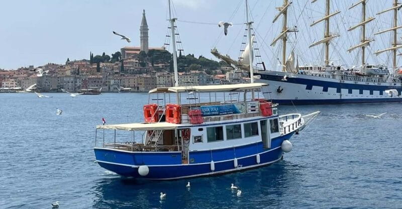 Izlet brodom iz Vrsara: Zalazak sunca i druenje s delfinima - Exploring the Vrsar Dolphin Sunset Adventure in Depth