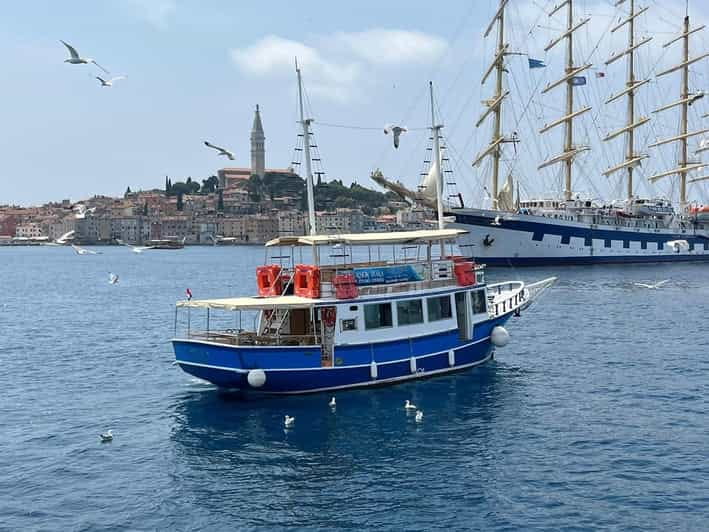 Izlet brodom iz Vrsara: Zalazak sunca i druenje s delfinima - Who Is This Experience Perfect For?