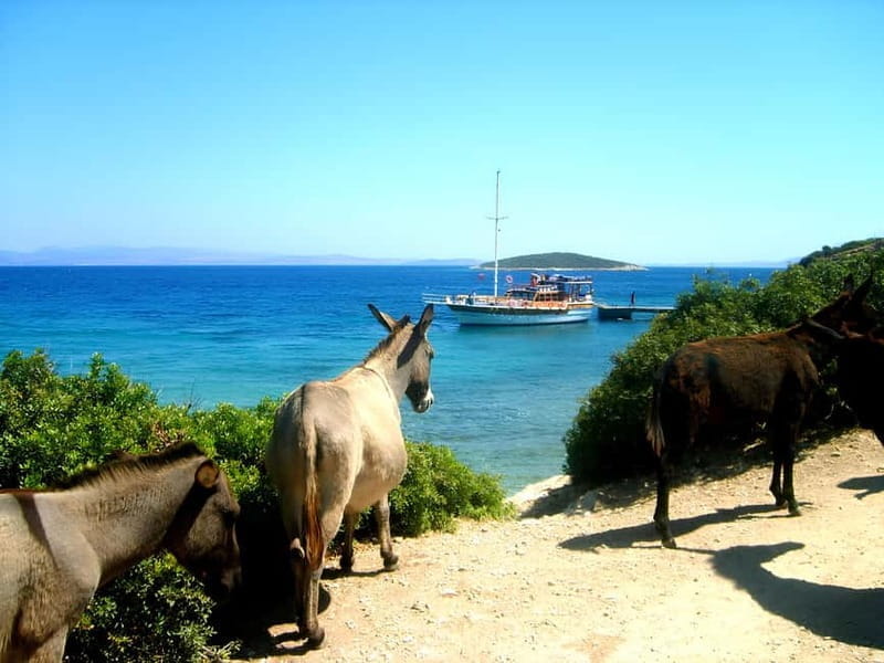 Izmir: Cesme Boat Tour and Alacati Visit - Price and Logistics: A Fair Investment