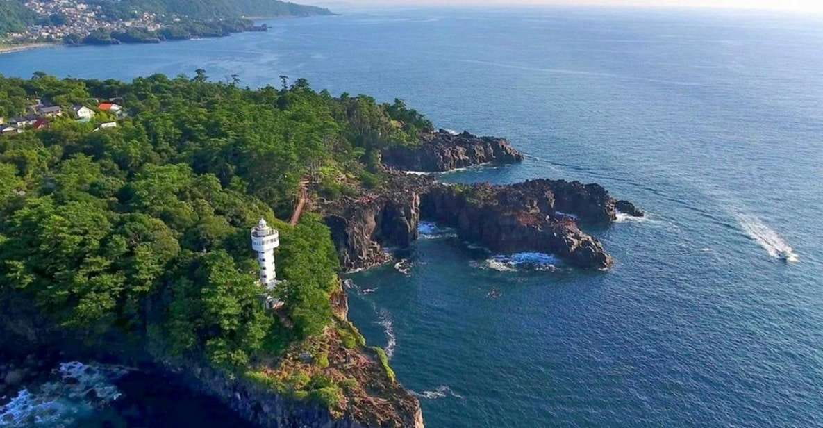 Izu Peninsula: Jogasaki Coast Experience - Historical and Geological Insights