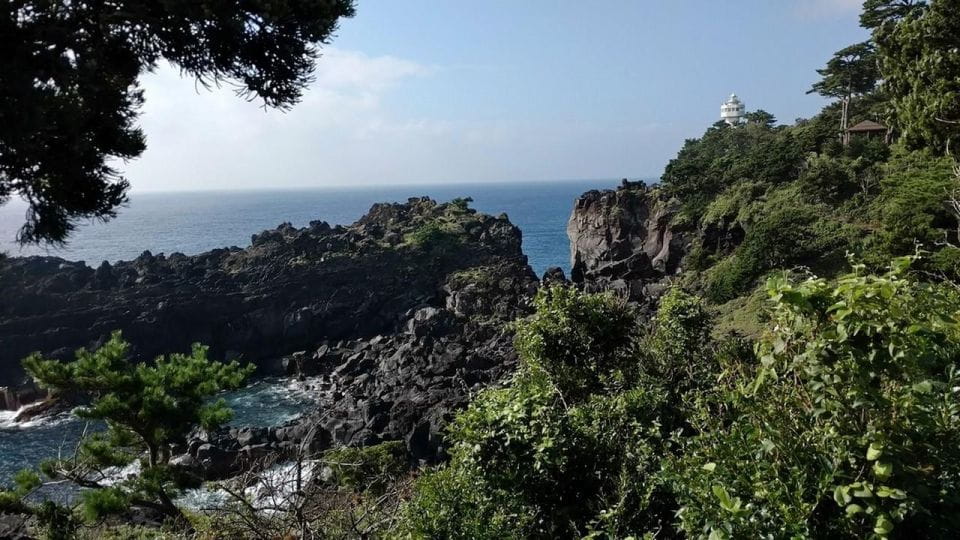 Izu Peninsula: Jogasaki Coast Experience - Transportation and Accessibility