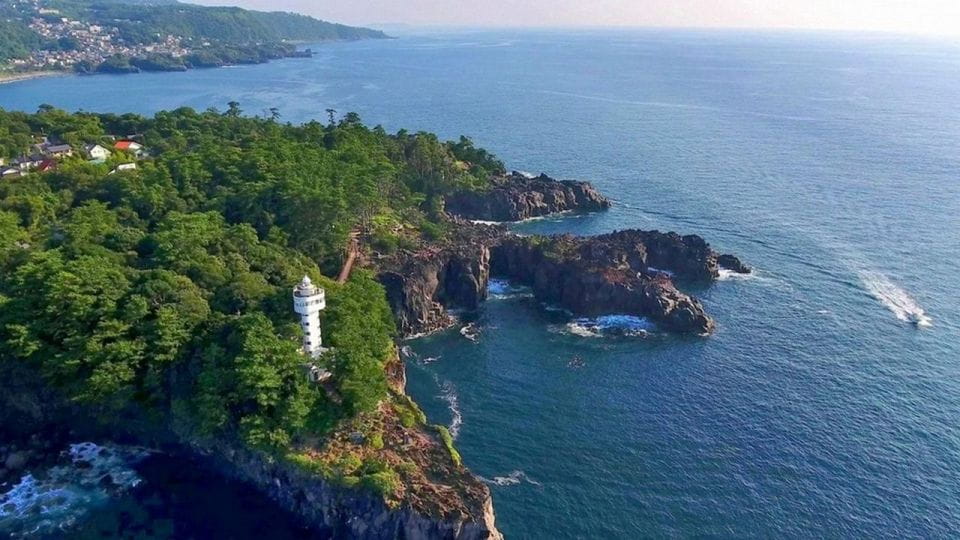 Izu Peninsula: Jogasaki Coast Experience - Booking and Cancellation Policy