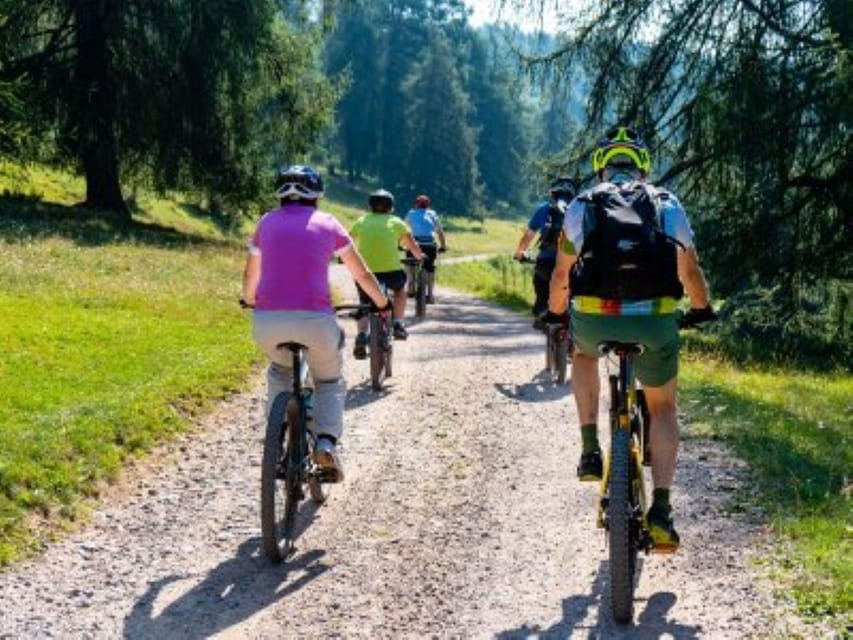 Jaca: Mountain Bike Rental - Highlights and Features
