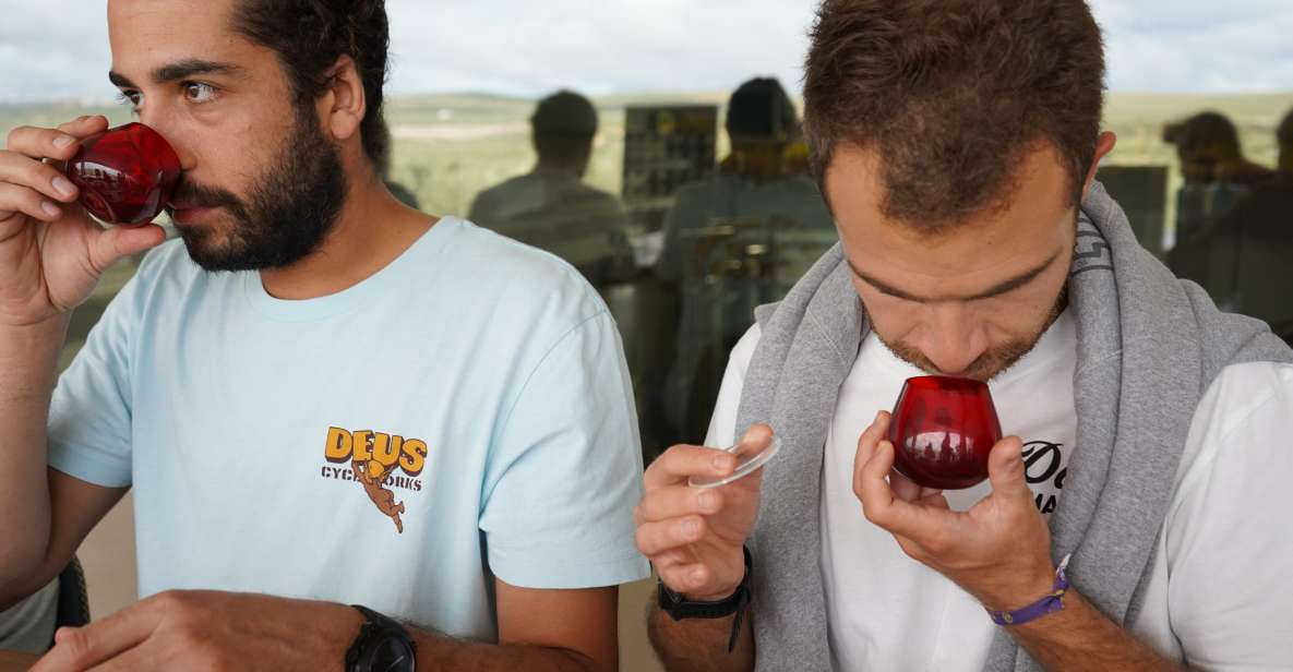 Jaén: Aires De Jaén Olive Oil Tasting Class - Exploring the Olive Oil Journey