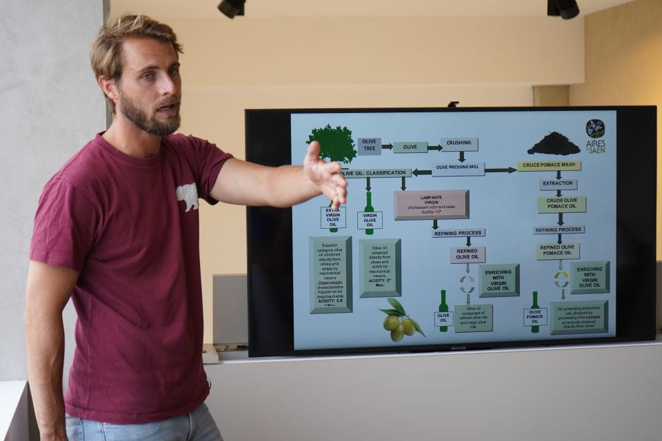 Jaén: Aires De Jaén Olive Oil Tasting Class - Mastering Food and Wine Pairings