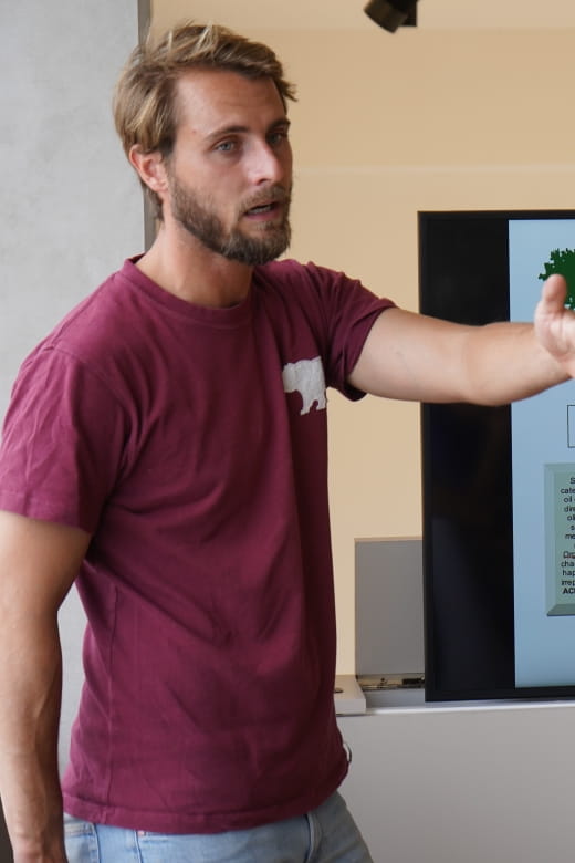 Jaén: Aires De Jaén Olive Oil Tasting Class - Insider Insights at Aires De Jaén