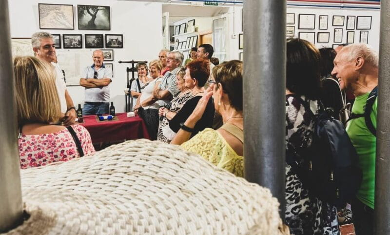 Jaén: Guided Olive Mill Tour with Olive Oil Tasting - Inside the Tasting Room: Flavors and Aromas