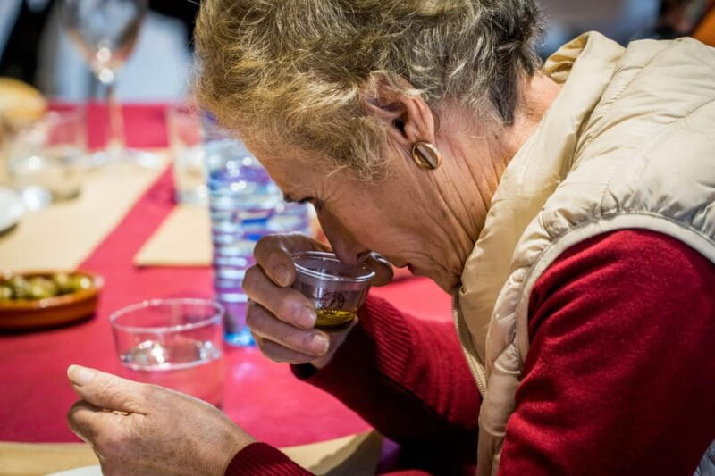 Jaén: Guided Olive Mill Tour with Olive Oil Tasting - Practical Aspects and Logistics