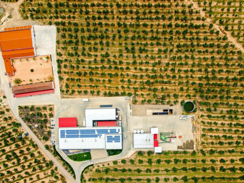 Jaen: Olive Oil Tour With the 5 Senses, Grove and Tasting - Accessibility Features