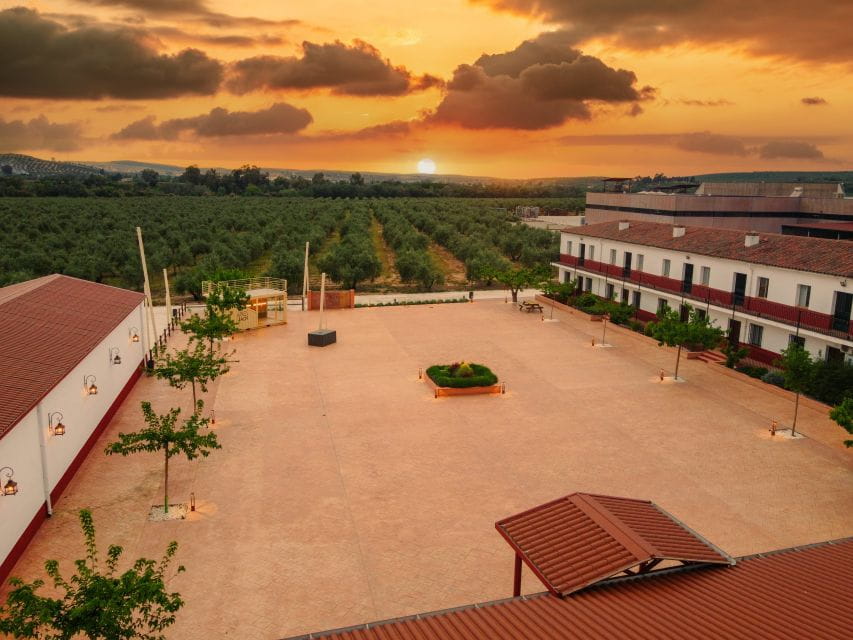 Jaen: Olive Oil Tour With the 5 Senses, Grove and Tasting - Tips for a Memorable Visit